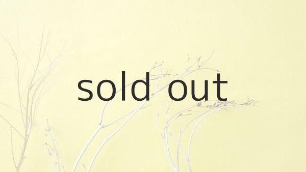 画像5: 小枝流木セット (5)