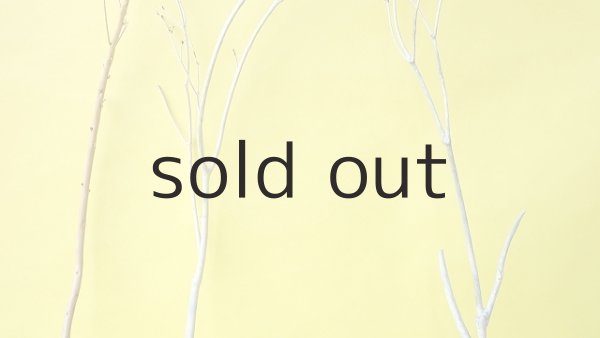 画像4: 小枝流木セット (4)