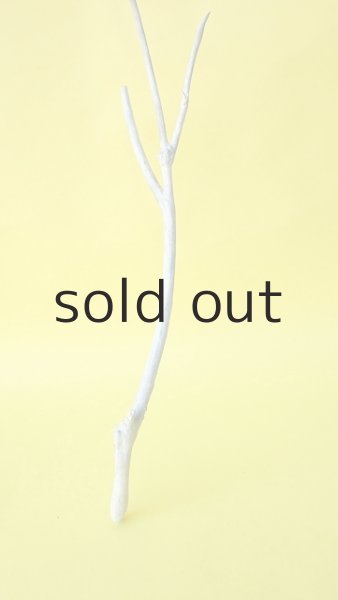 画像3: 小枝流木セット (3)