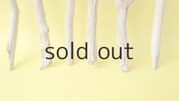 画像2: 小枝流木セット (2)