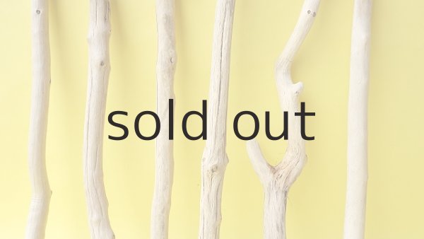 画像3: 小枝流木セット (3)