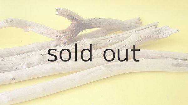 画像5: 小枝流木セット (5)