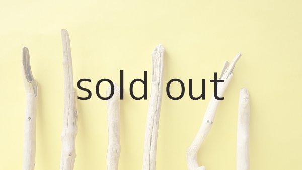 画像4: 小枝流木セット (4)