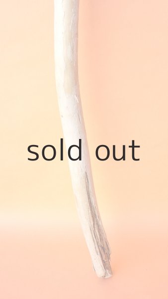 画像2: 棒流木 (2)