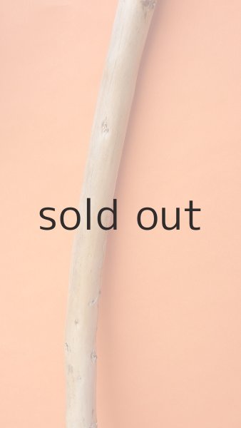 画像3: 棒流木・長尺 (3)