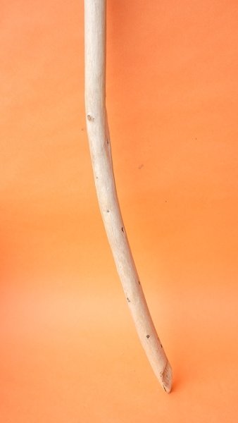 画像2: 棒流木 (2)