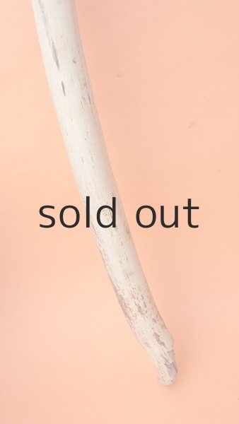 画像2: 棒流木・長尺 (2)