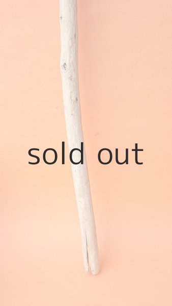 画像2: 棒流木・長尺 (2)