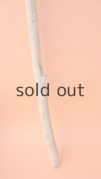 画像2: 棒流木・長尺 (2)