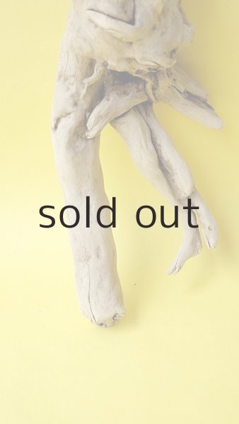 画像2: 流木根 (2)