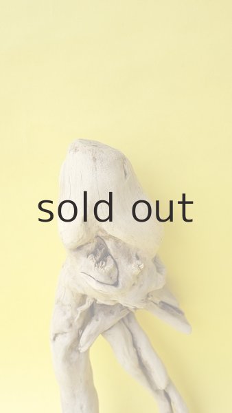 画像3: 流木根 (3)