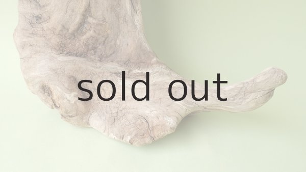 画像2: 変形流木（中型） (2)