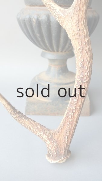 画像2: デコール用二ホンジカの角 (2)