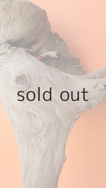 画像3: 大型　変形 (3)