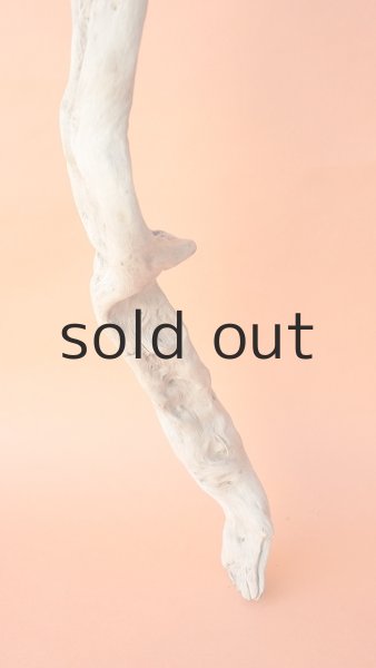 画像2: 大型 根 (2)