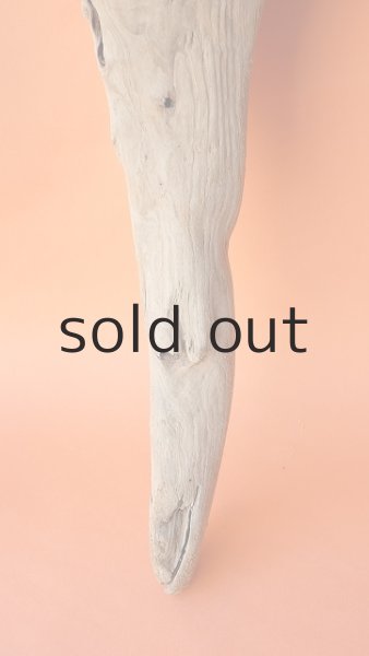 画像6: 大型　変形 (6)