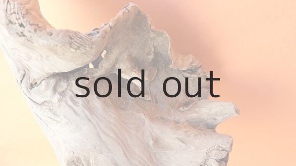 画像4: 大型　変形 (4)