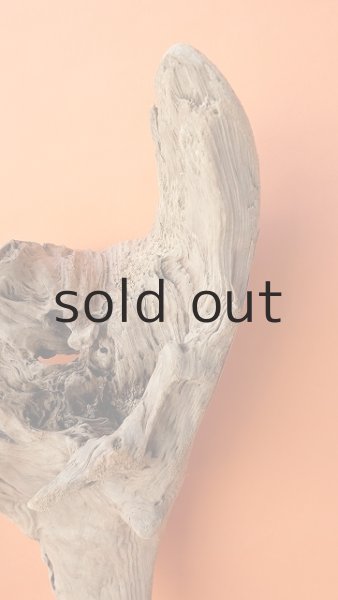 画像7: 大型　変形 (7)