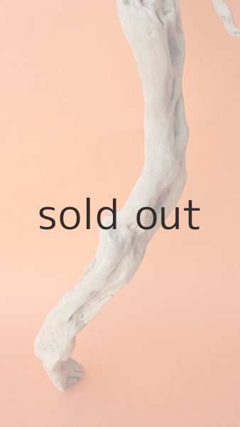 画像8: 大型 根 (8)