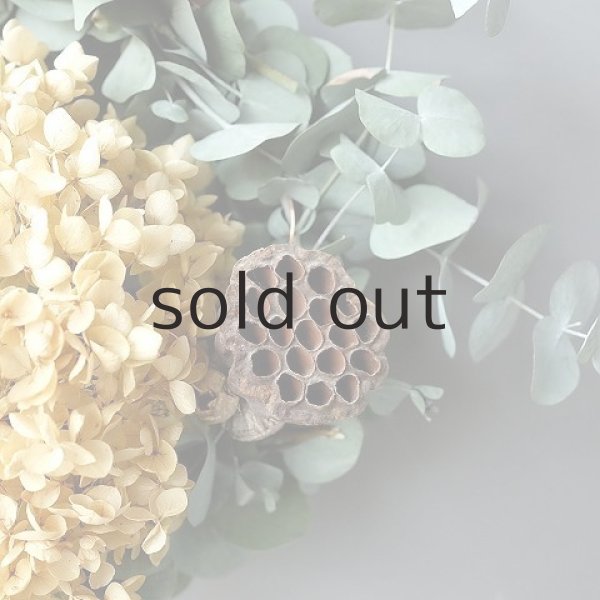 画像4: Dry plants for decor ユーカリリース（銀丸葉＋ドライアジサイ＋蓮の花托＋ユーカリの実） (4)