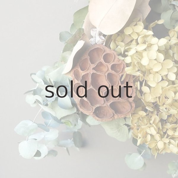 画像3: Dry plants for decor ユーカリリース(銀丸葉+テトラゴナシルバー+ドライアジサイ+蓮の花托) (3)