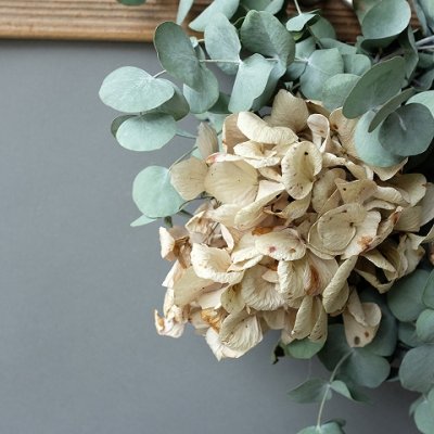 画像1: Dry plants for decor ユーカリリース（銀丸葉＋ドライアジサイ＋ユリの実＋ユーカリの実）