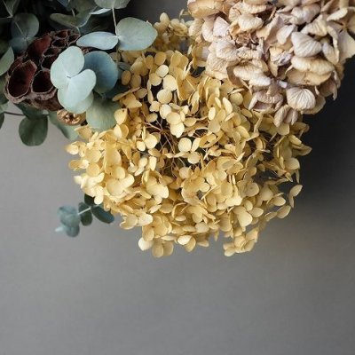 画像2: Dry plants for decor ユーカリリース（銀丸葉＋ドライアジサイ2種＋蓮の花托＋ユーカリの実）