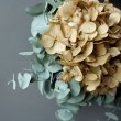 画像3: Dry plants for decor ユーカリリース（銀丸葉＋ドライアジサイ＋ユリの実＋ユーカリの実） (3)