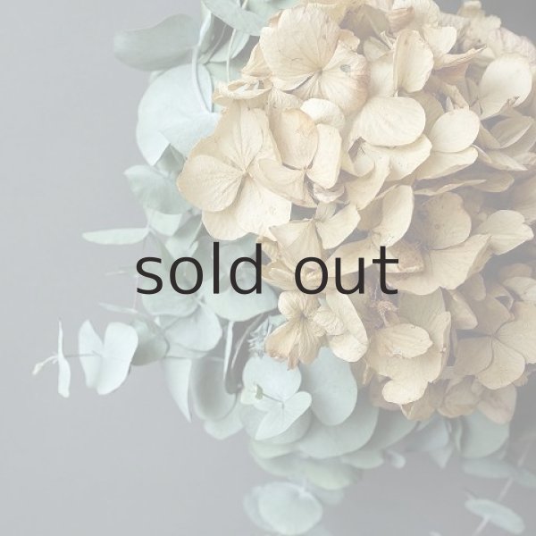 画像3: Dry plants for decor ユーカリリース(銀丸葉+ドライアジサイ+ユリの実+ユーカリの実) (3)