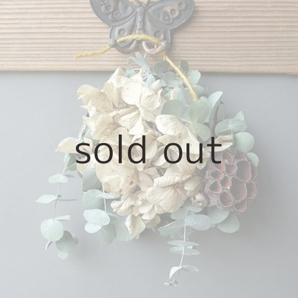 画像2: Dry plants for decor ユーカリリース(銀丸葉+ドライアジサイ+蓮の花托+ユーカリの実) (2)