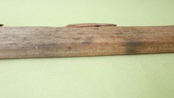 画像4: 板流木 (4)