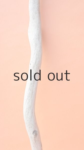 画像3: 幹流木 (3)