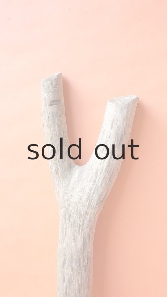 画像4: 幹流木 (4)