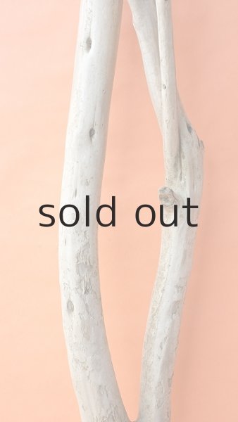 画像4: 幹流木 (4)