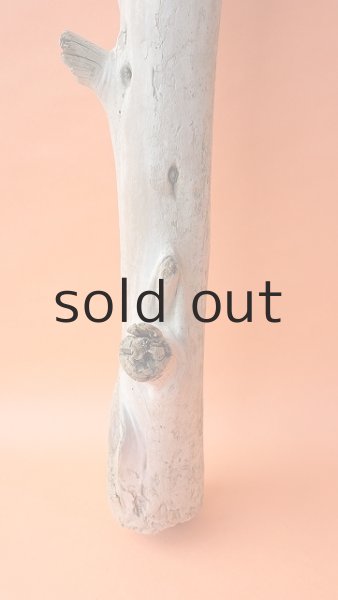 画像2: 幹流木 (2)