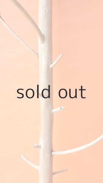 画像3: 幹流木 (3)