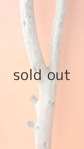 画像3: 幹流木 (3)