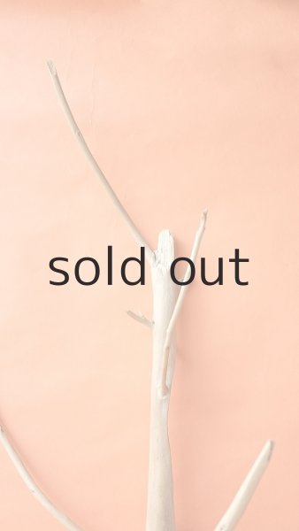 画像5: 幹流木 (5)