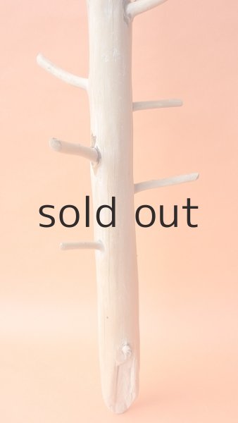 画像2: 幹流木 (2)