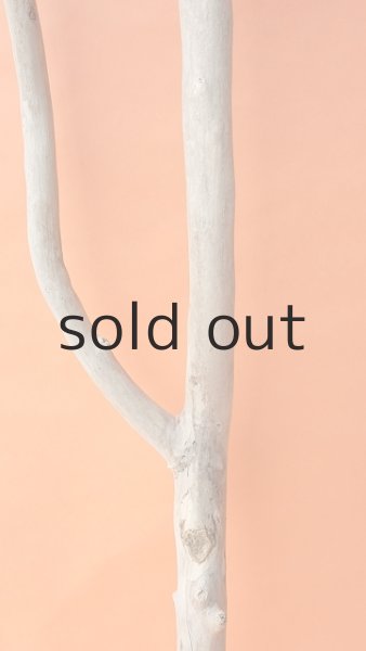 画像3: 枝流木 (3)