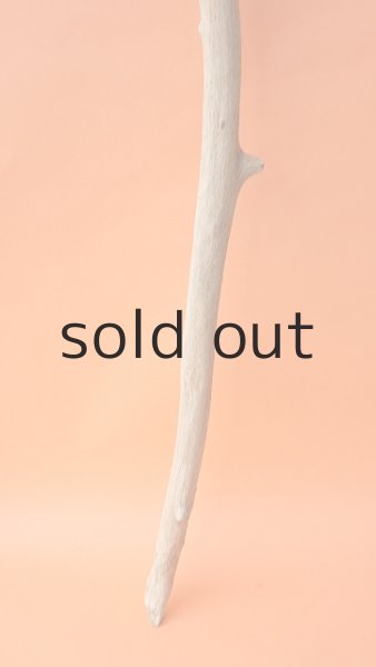 画像5: 枝流木 (5)