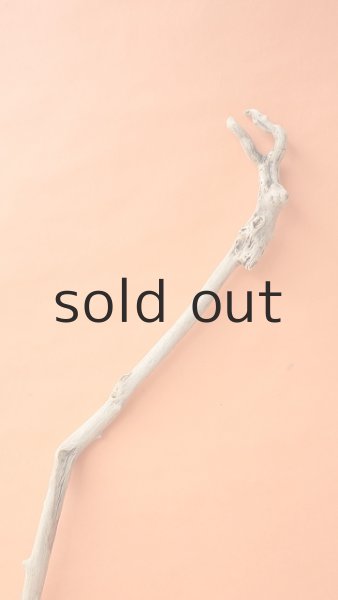 画像4: 枝流木 (4)