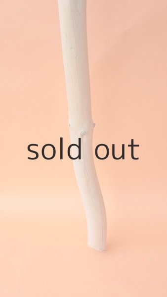 画像2: 枝流木 (2)