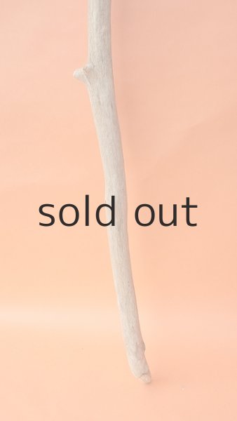 画像2: 枝流木 (2)