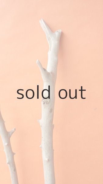 画像4: 枝流木 (4)