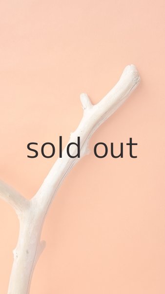 画像3: 枝流木 (3)