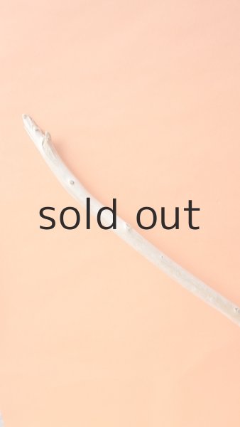 画像4: 枝流木 (4)