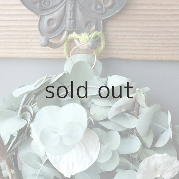 画像2: Dry plants for decor ユーカリリース（銀丸葉＋蓮の花托＋ユリの実＋トウシキミ＋ホワイトリーフ） (2)