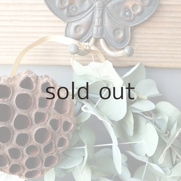 画像2: Dry plants for decor ユーカリリース（銀丸葉＋蓮の花托＋ユリの実＋トウシキミ＋ホワイトリーフ） (2)