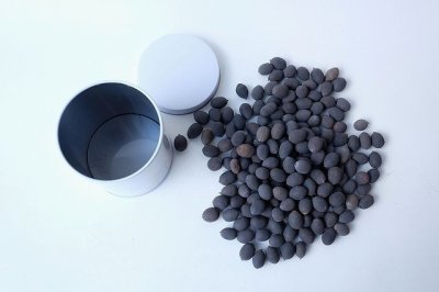 画像2: Dry plants for decor デコール用乾燥種子（蓮）200ｇ【オリジナルスチール缶入り】